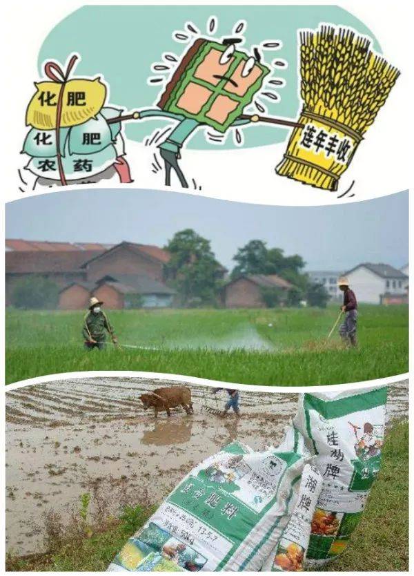 4個地下水污染的罪魁禍首——以化肥為核心的技術解析